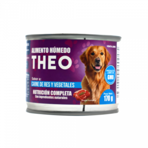 Alimento húmedo perro carne de res THEO 170g
